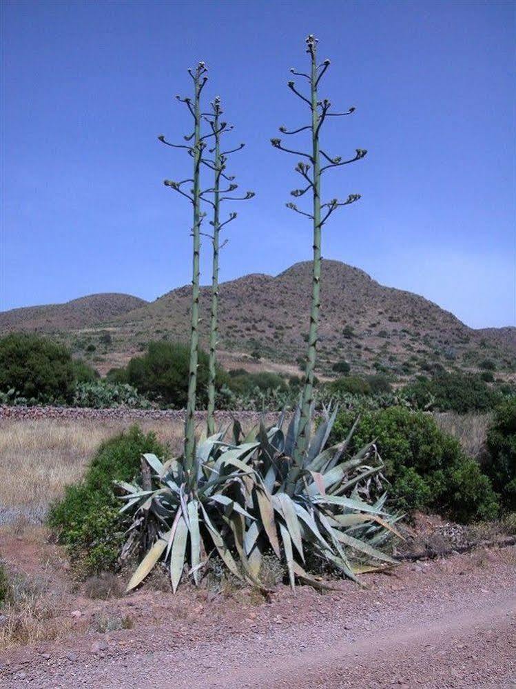 卡萨斯卢拉尔迷你拉乡村民宿 Los Albaricoques 外观 照片